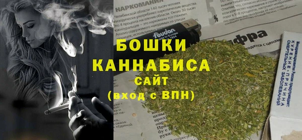 шишки Балахна